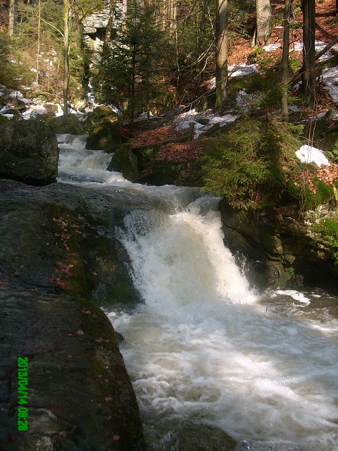 img00017.jpg