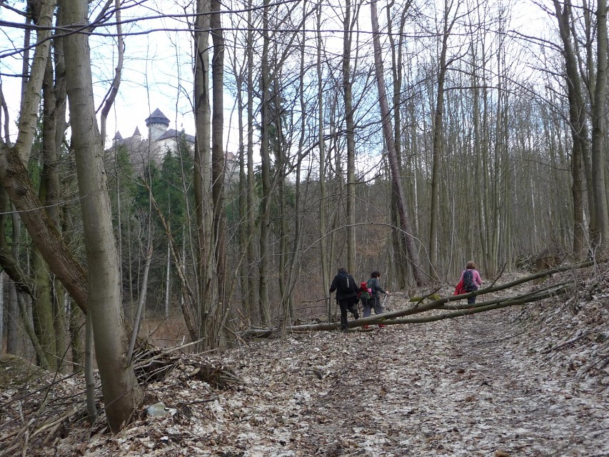 img00029.jpg