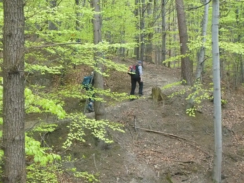 img00005.jpg