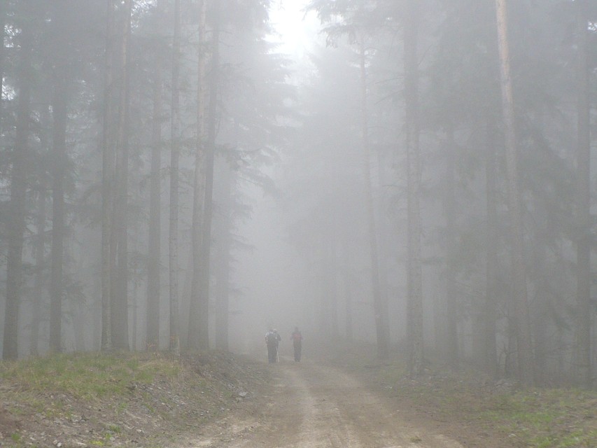img00007.jpg