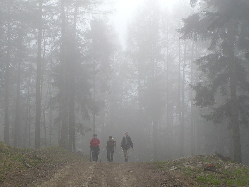 img00008.jpg