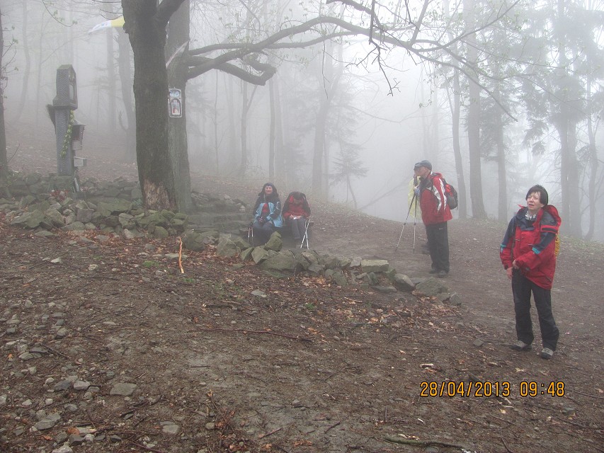 img00011.jpg