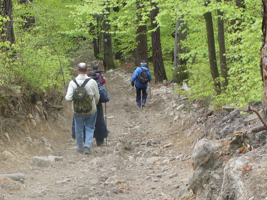 img00023.jpg