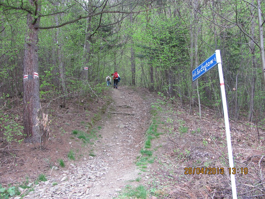 img00034.jpg