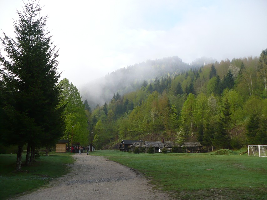 img00005.jpg
