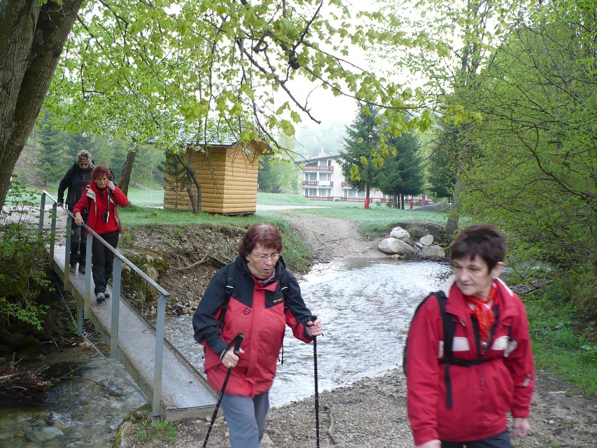 img00007.jpg