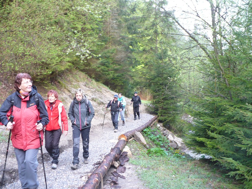 img00008.jpg