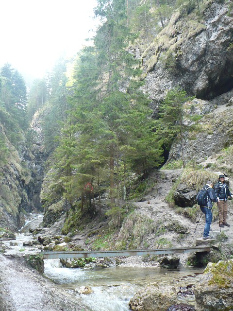 img00013.jpg