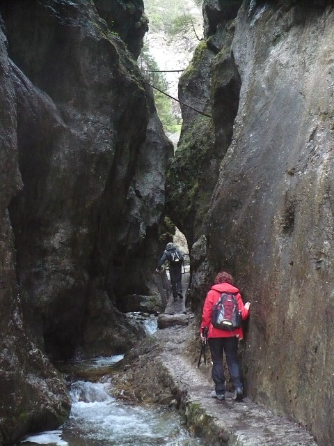 img00017.jpg