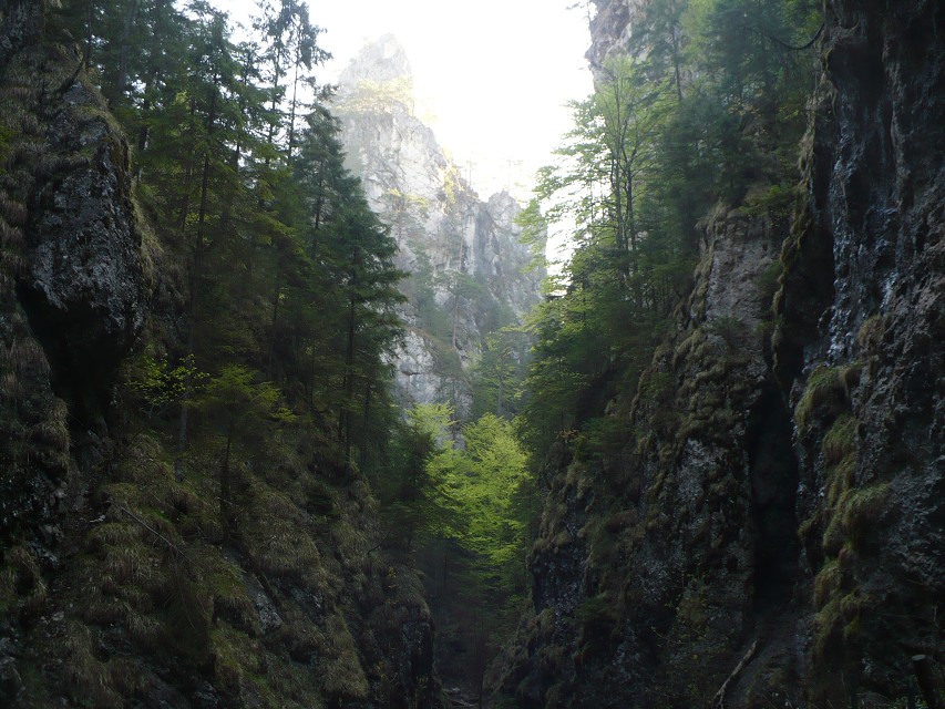 img00022.jpg