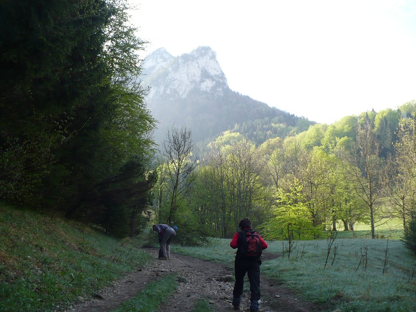 img00024.jpg