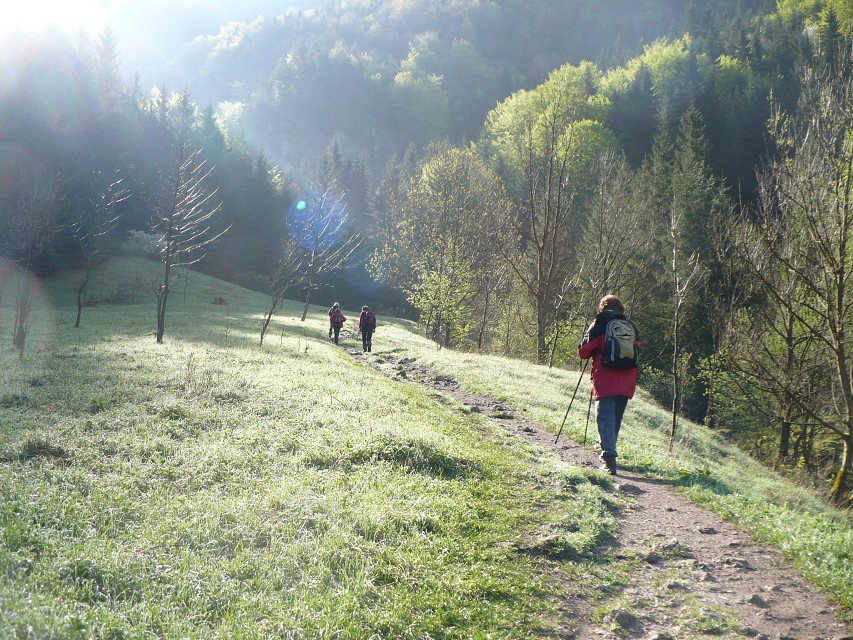 img00028.jpg