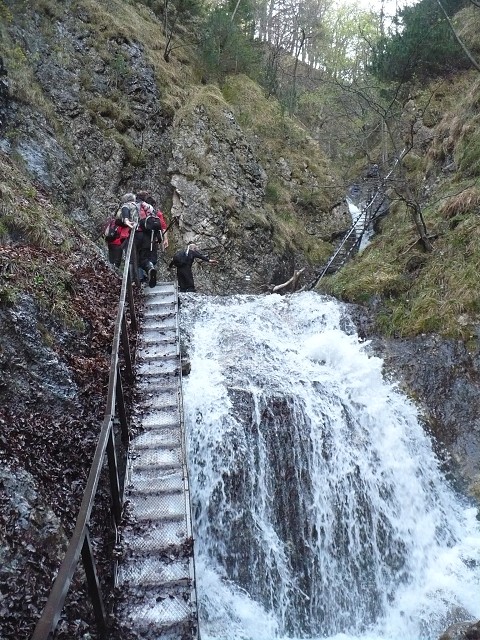 img00037.jpg