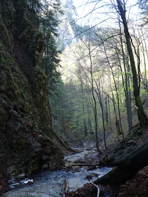 img00043.jpg