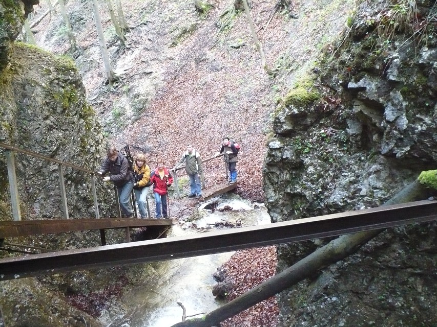 img00045.jpg