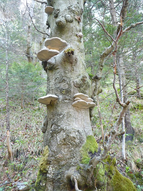 img00048.jpg