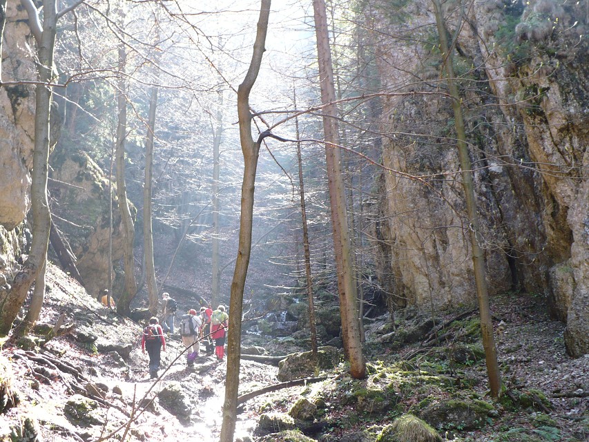 img00053.jpg