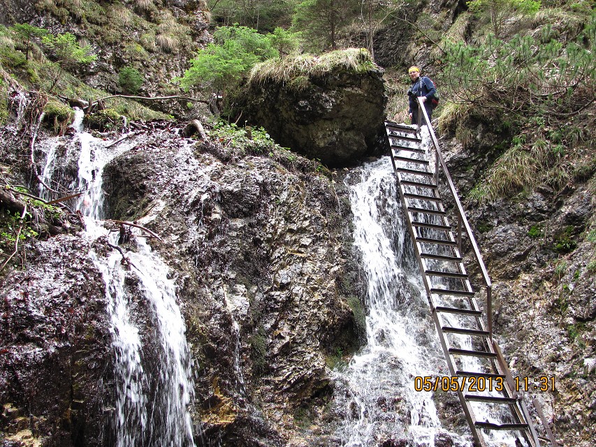 img00055.jpg