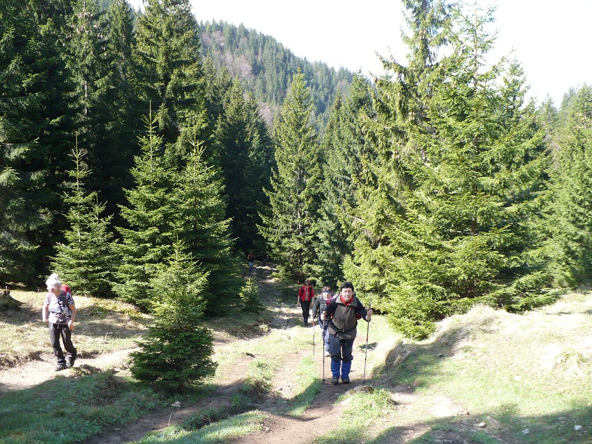 img00063.jpg
