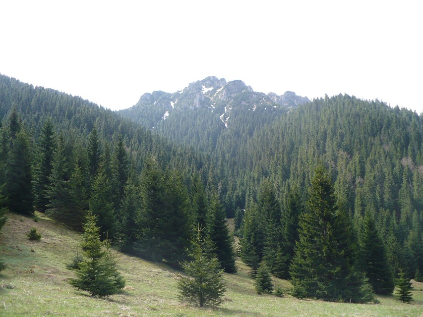 img00068.jpg