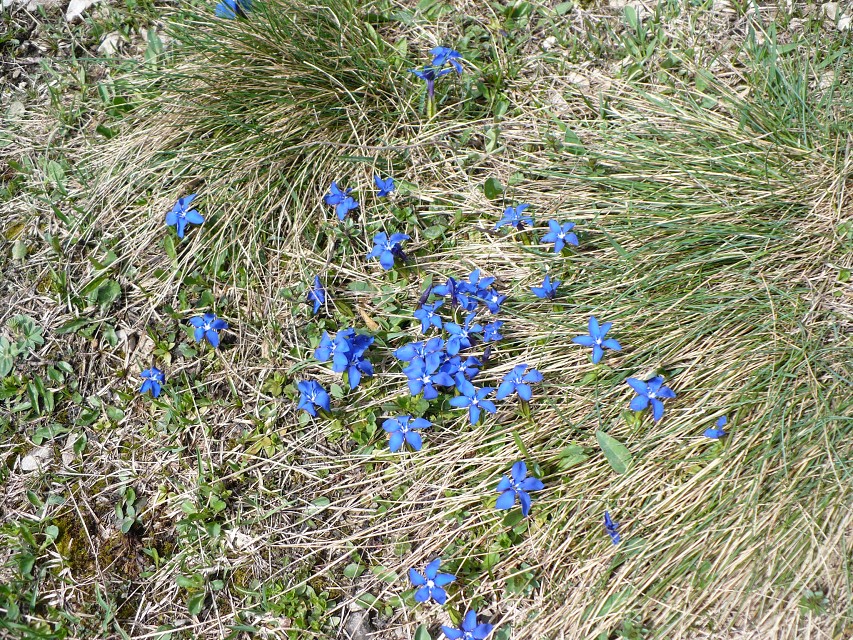 img00069.jpg