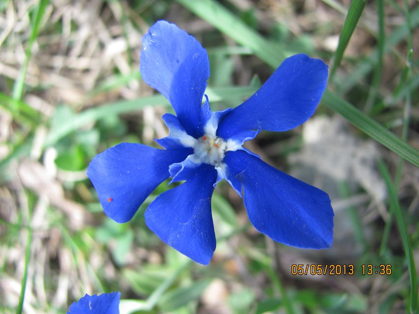 img00072.jpg