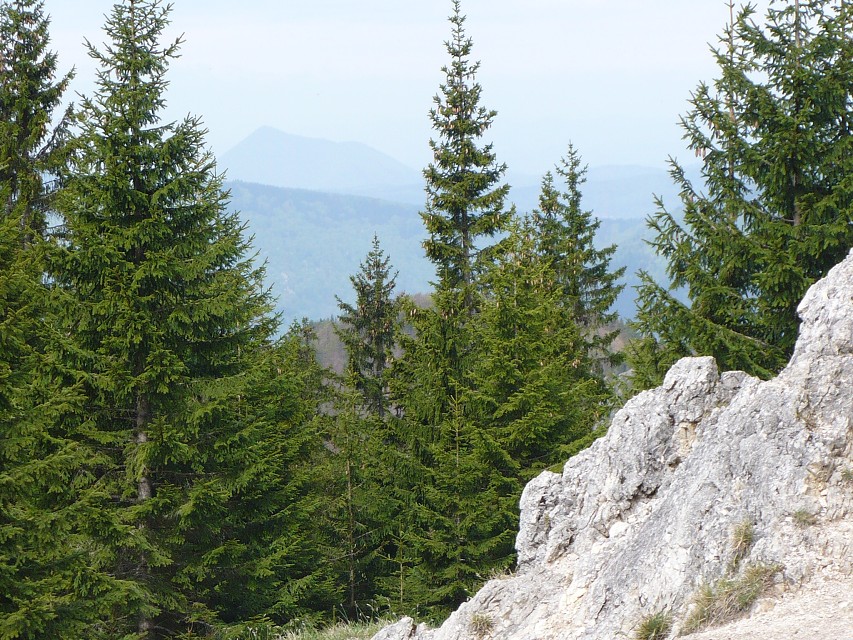 img00073.jpg