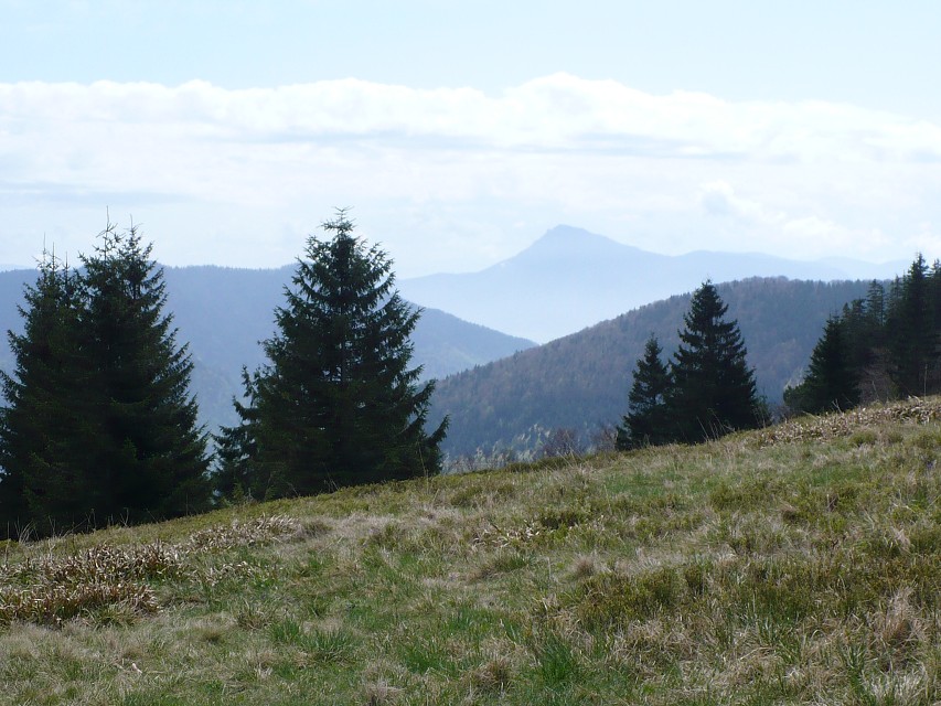 img00078.jpg