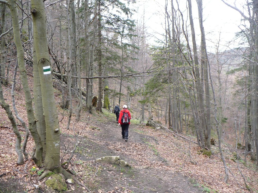 img00081.jpg