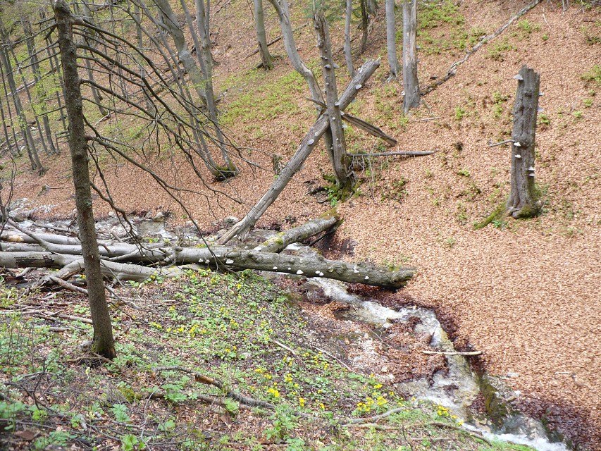 img00082.jpg