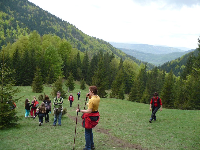 img00087.jpg
