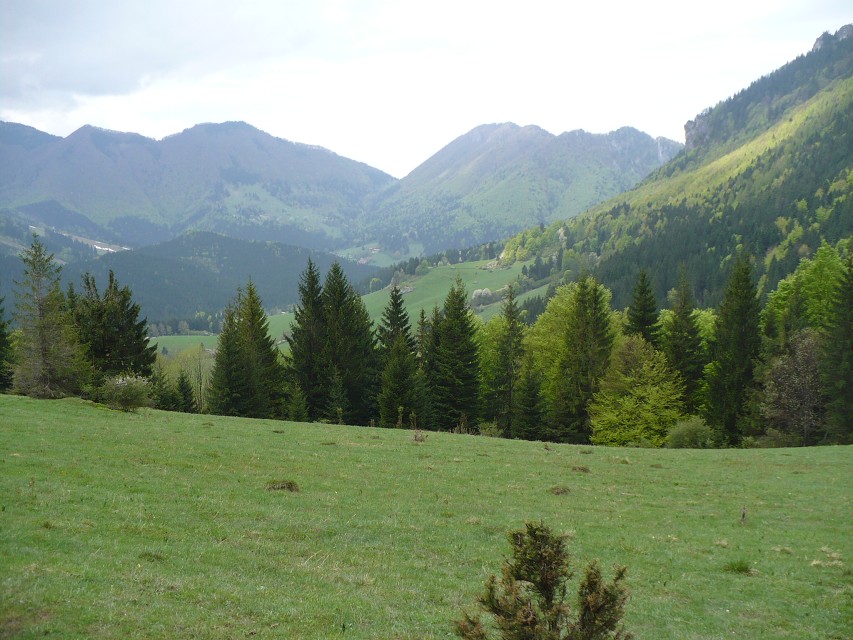 img00088.jpg