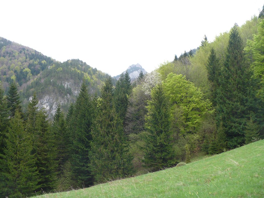 img00090.jpg
