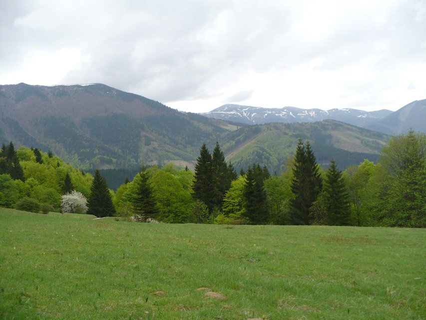 img00094.jpg