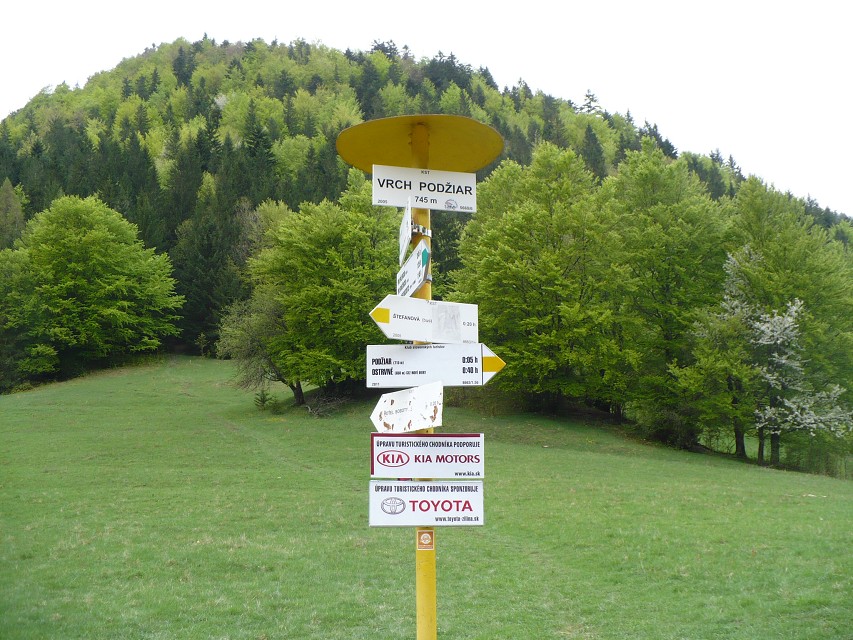 img00095.jpg