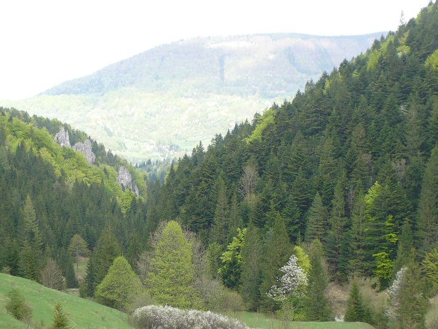 img00096.jpg