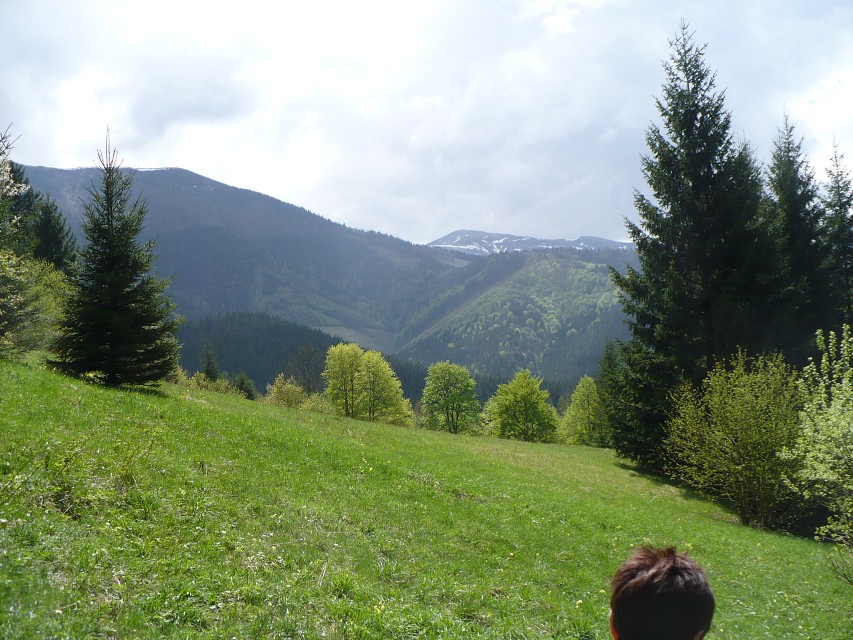 img00099.jpg