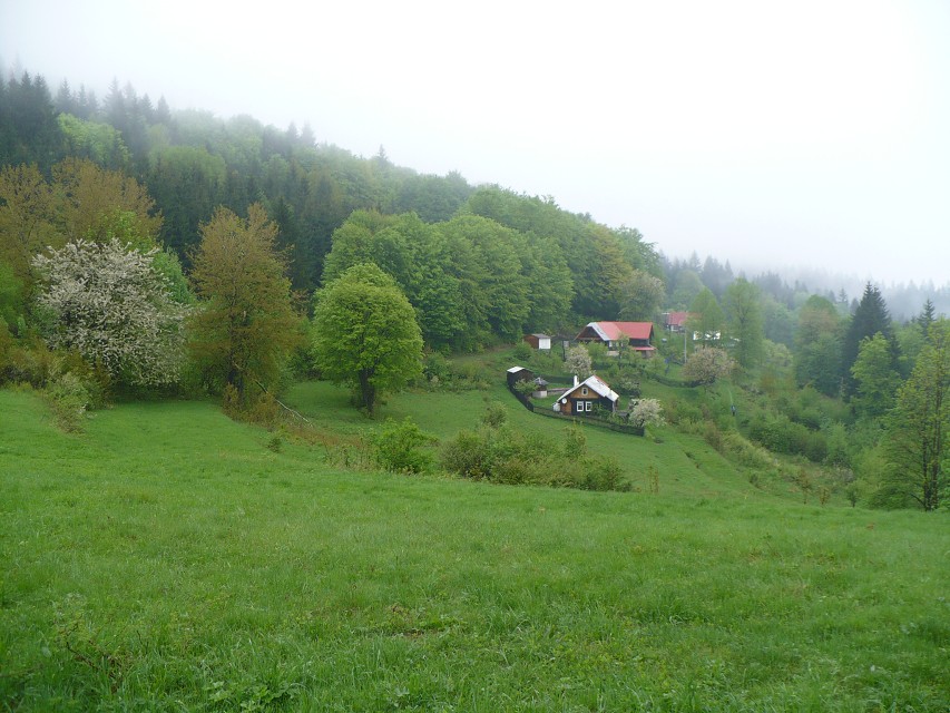 img00012.jpg