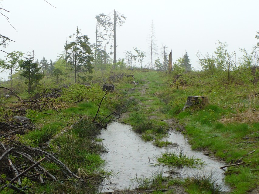 img00013.jpg