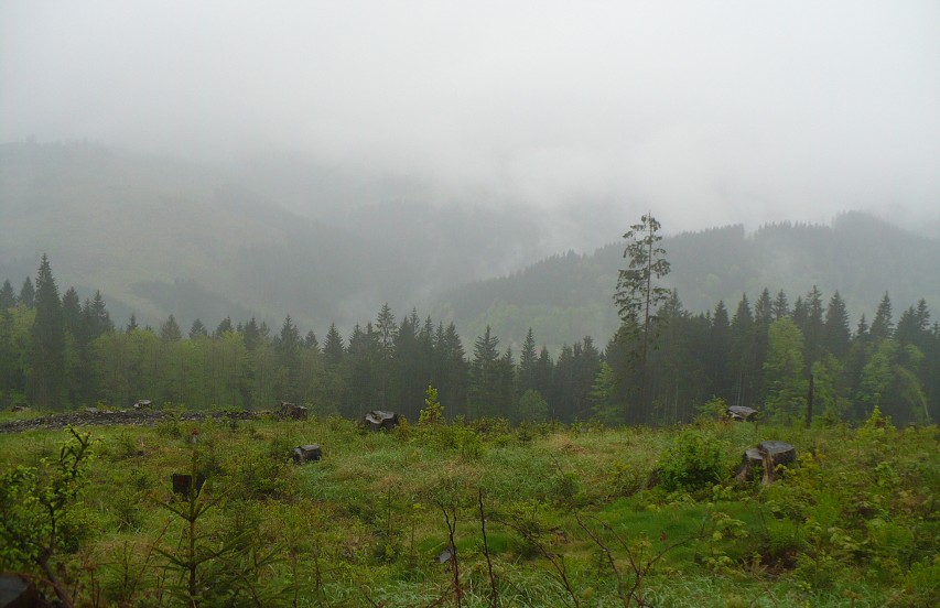 img00015.jpg