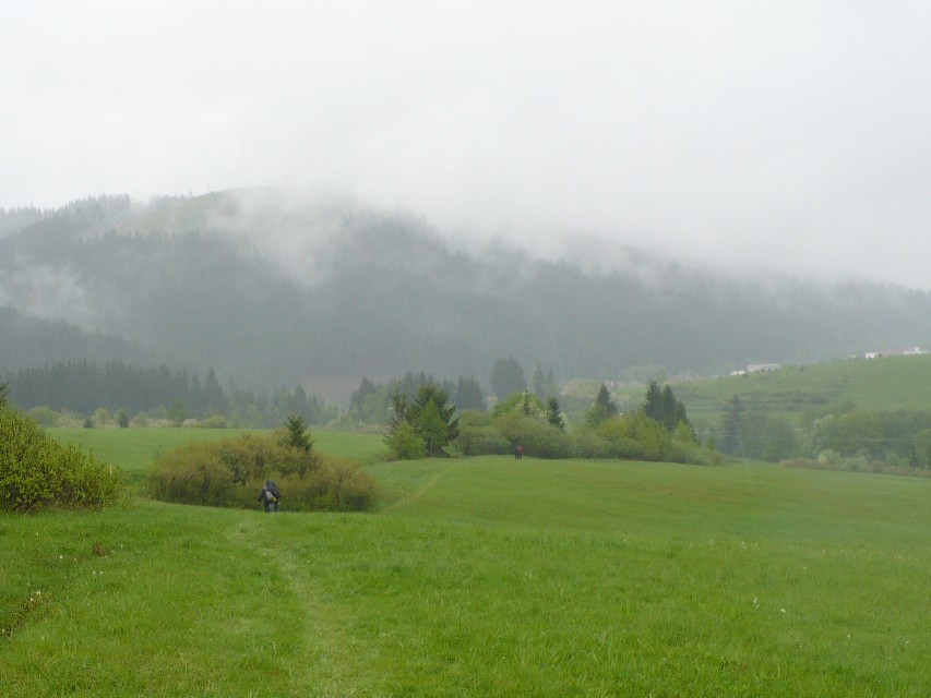 img00018.jpg