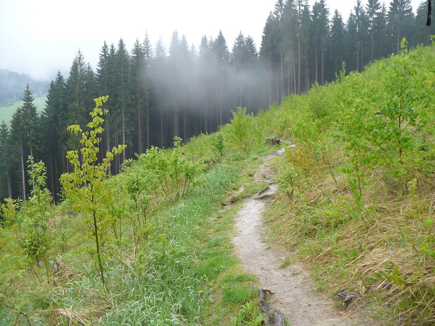 img00031.jpg
