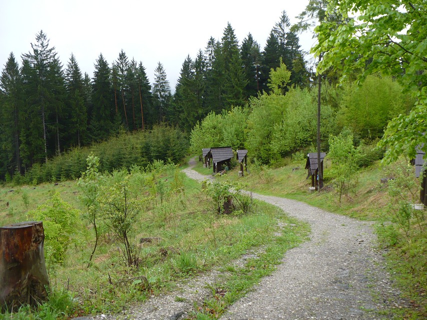 img00034.jpg