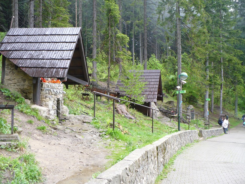 img00037.jpg