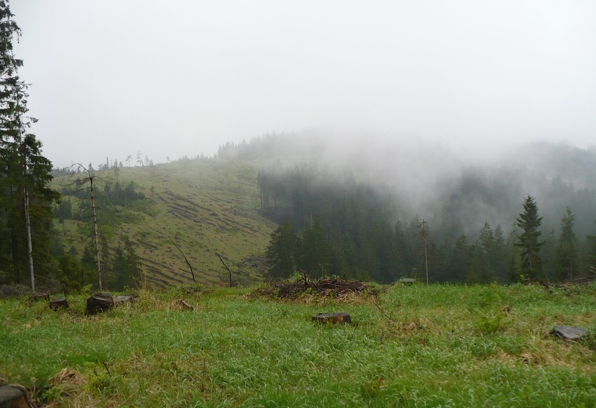 img00043.jpg