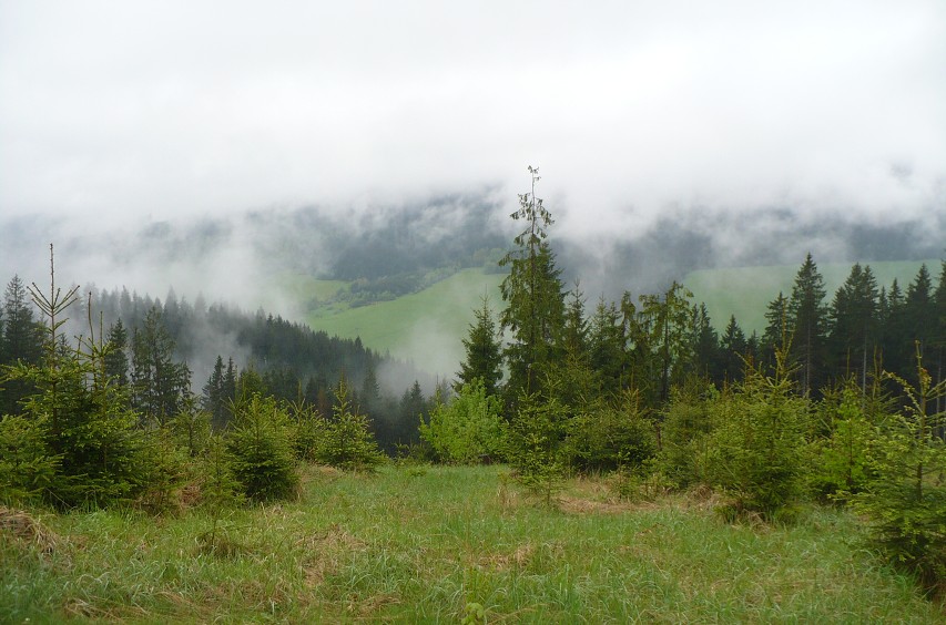 img00045.jpg