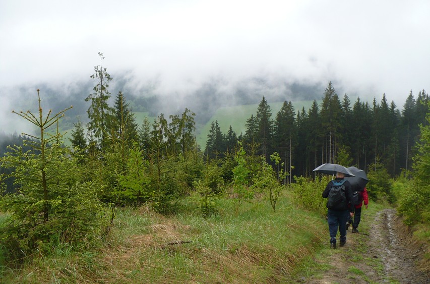 img00046.jpg