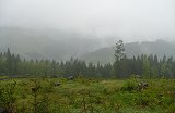 thn00015.jpg