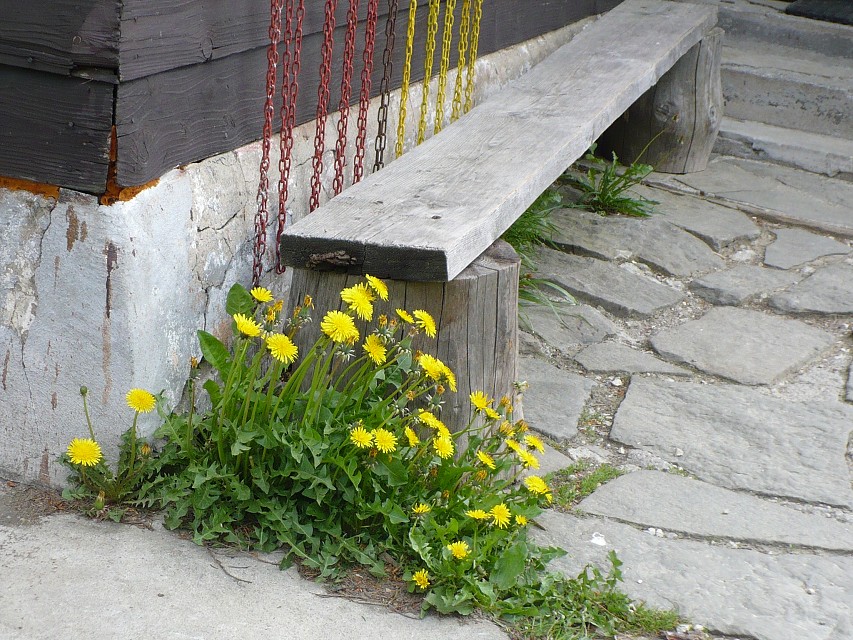img00004.jpg