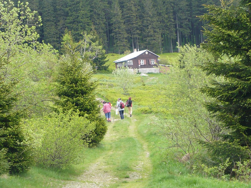 img00006.jpg